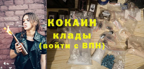 гидра Белокуриха