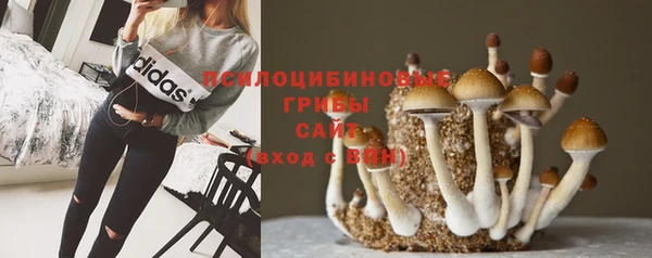 герыч Богданович