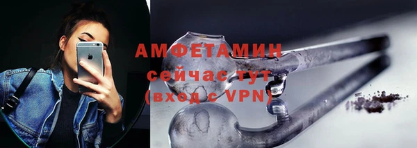 гидра Белокуриха