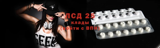 гидра Белокуриха