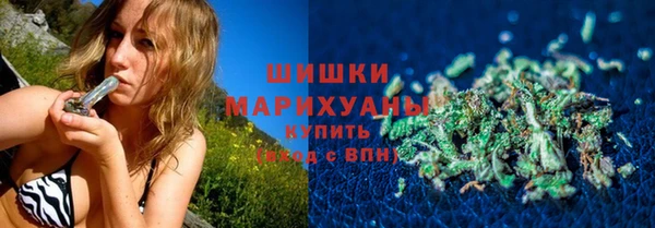 гидра Белокуриха