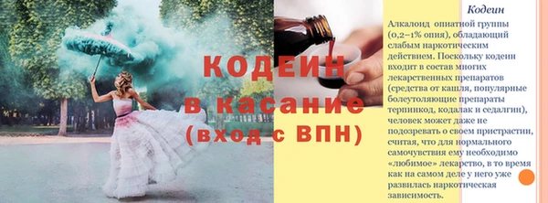 гидра Белокуриха