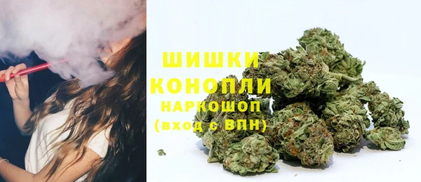 гидра Белокуриха
