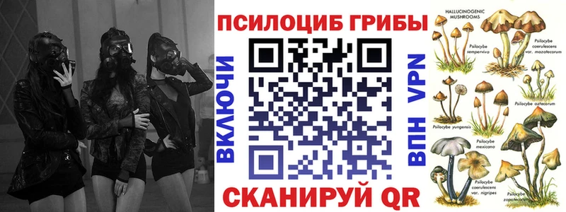 закладка  Козловка  Псилоцибиновые грибы прущие грибы 