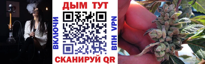 площадка как зайти  Козловка  Шишки марихуана Bruce Banner 